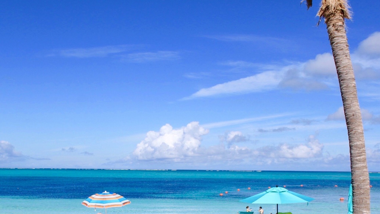 Photo of Others in The Bight