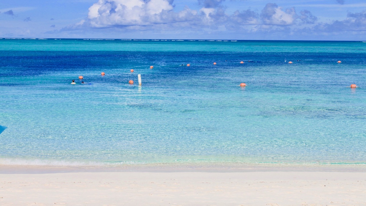 Photo of Others in The Bight