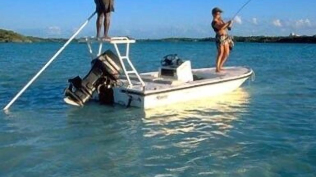 Photo of Others in The Bight