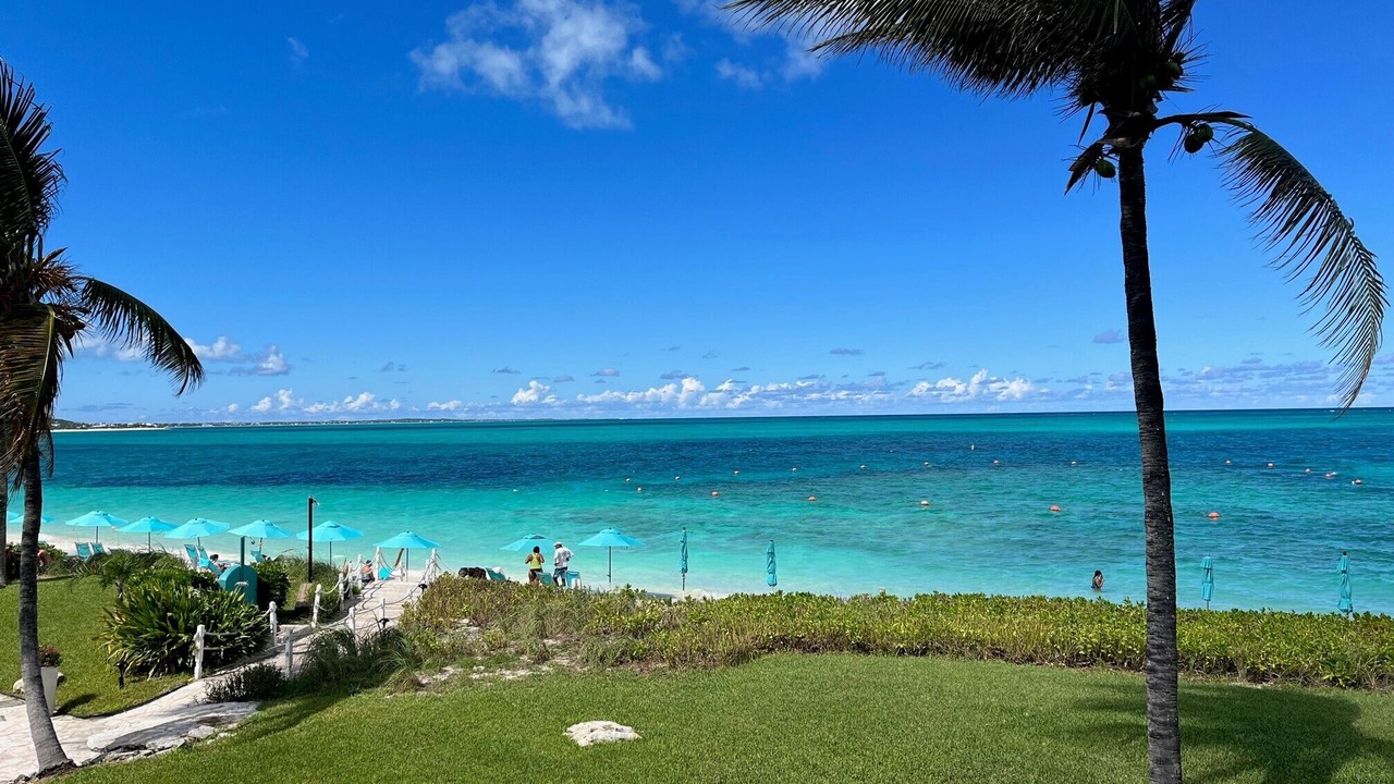 Photo of Others in The Bight