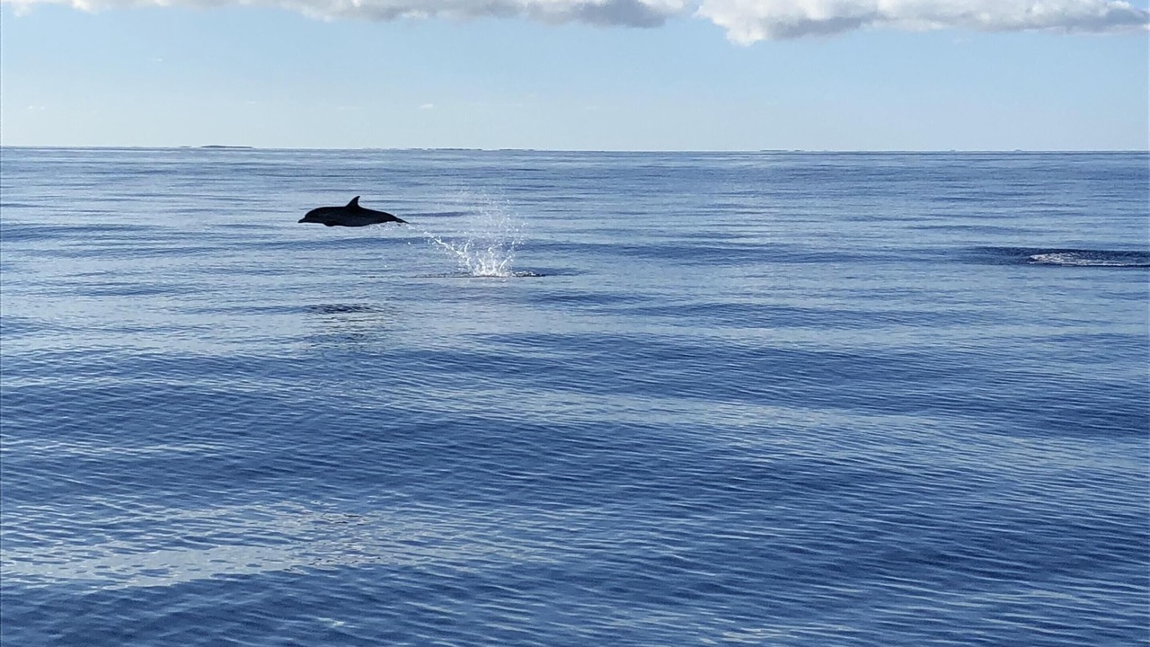 Photo of Others in Grace Bay