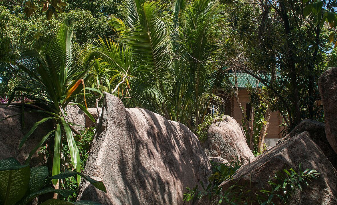 Photo of Outdoor in Praslin Island