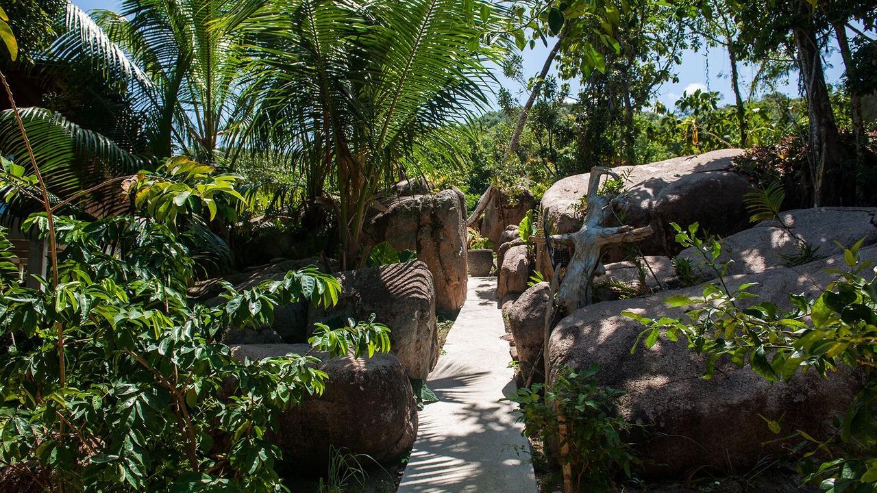 Photo of Outdoor in Praslin Island