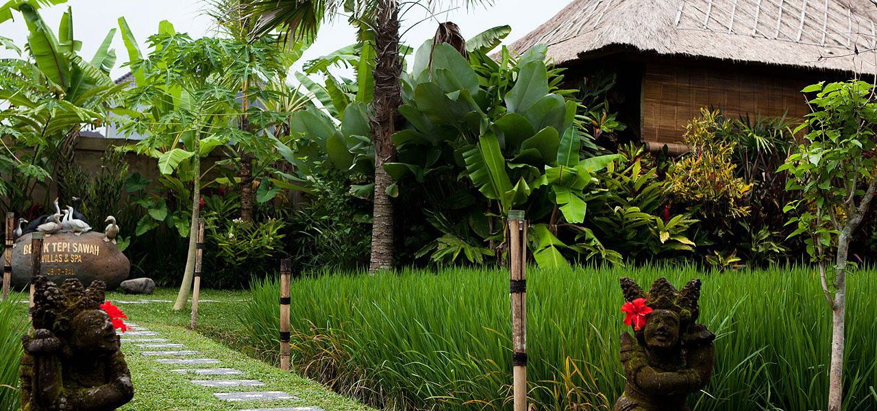 Photo of Outdoor in Peliatan