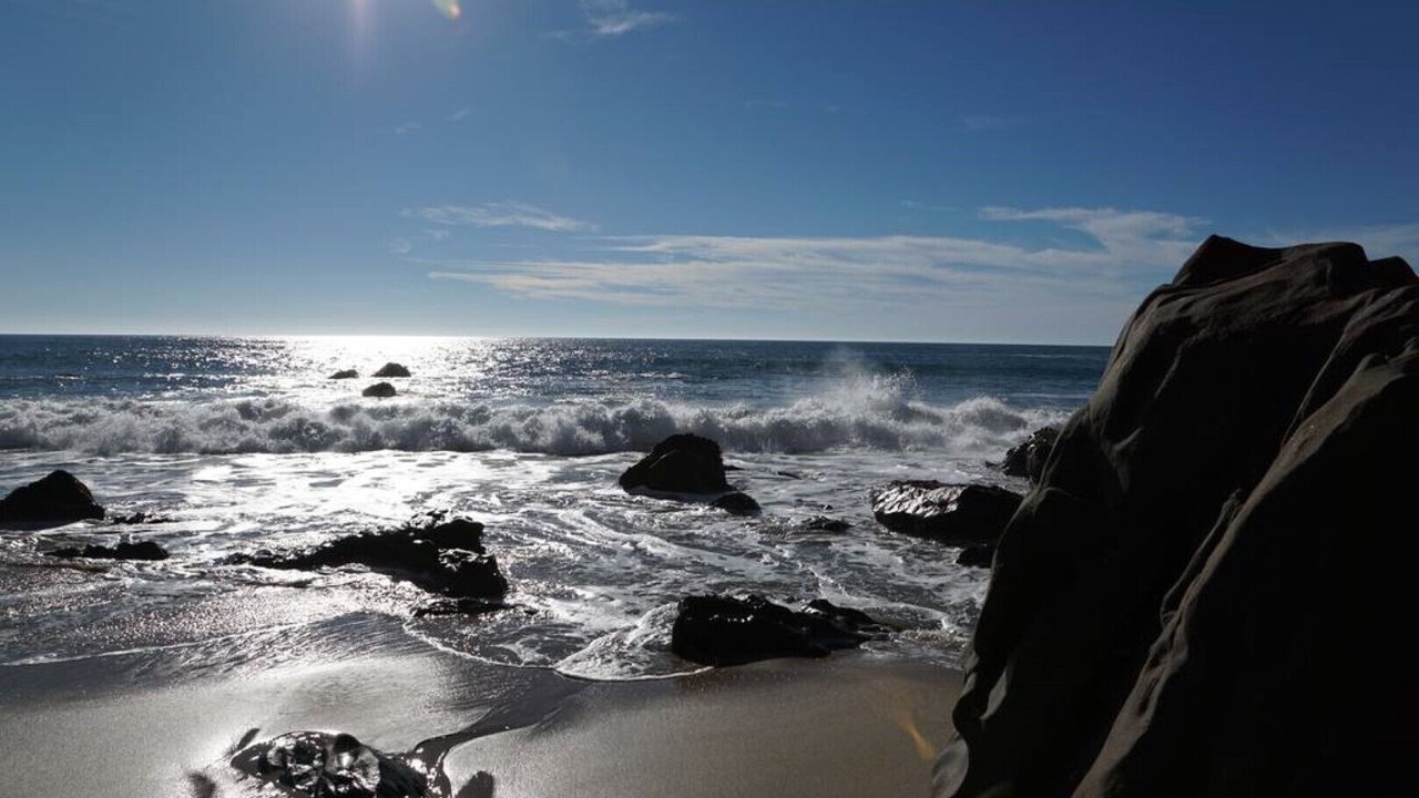 Photo of Others in Eastside Santa Cruz