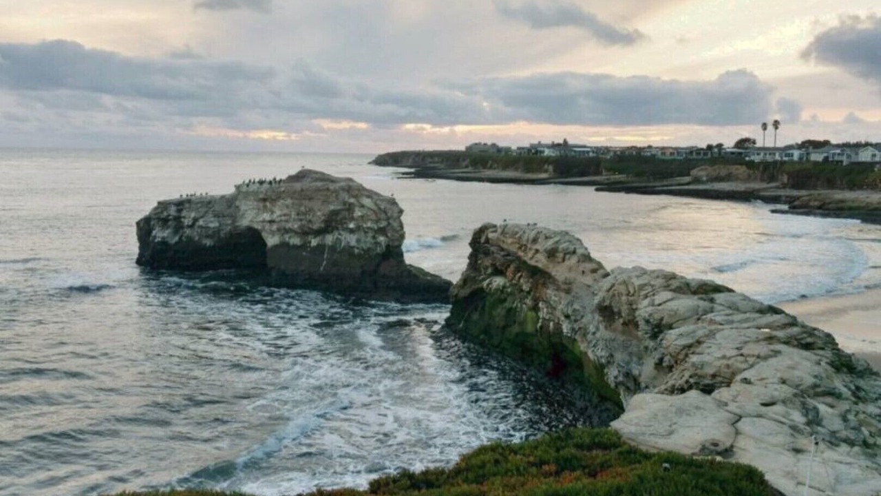 Photo of Others in Eastside Santa Cruz