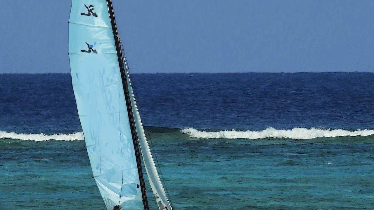 Photo of Others in The Bight