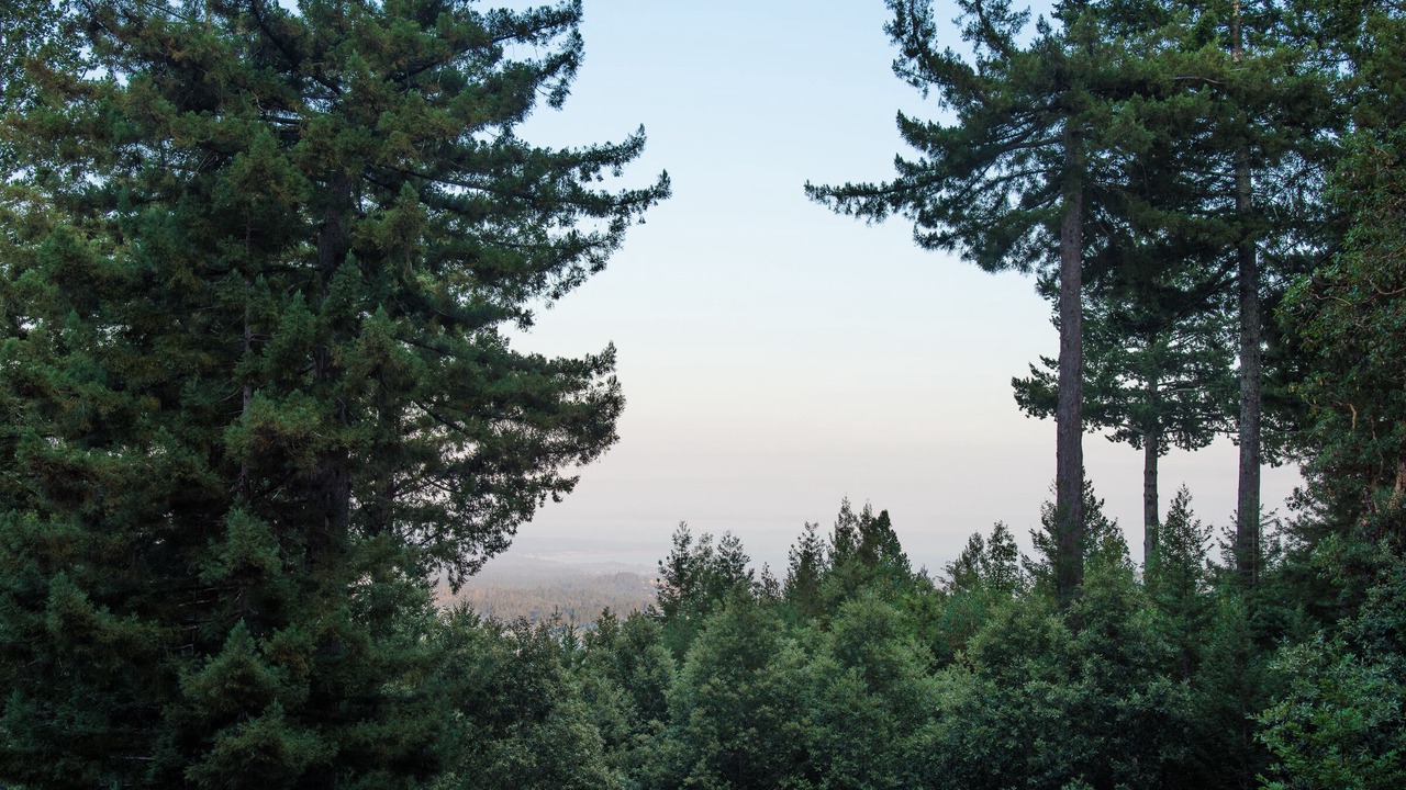 Photo of Others in Santa Cruz