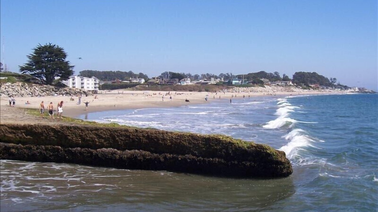 Photo of Others in Eastside Santa Cruz