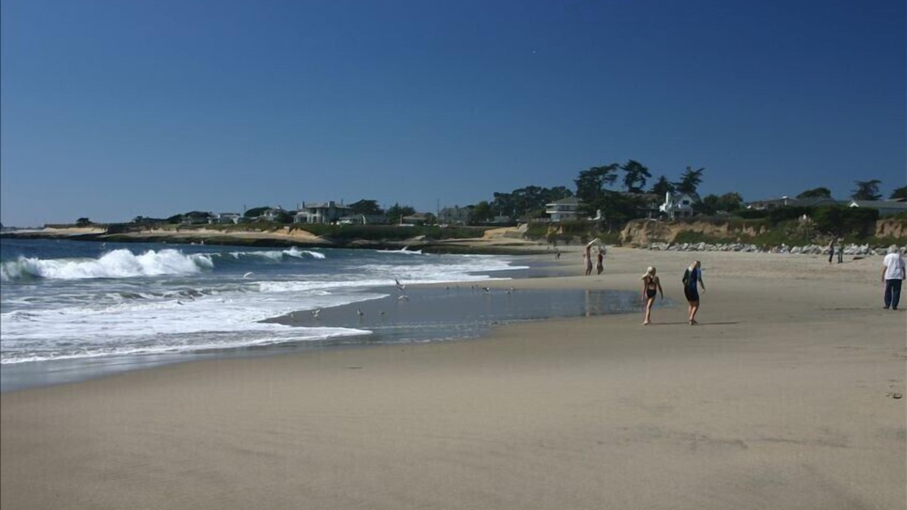 Photo of Others in Eastside Santa Cruz