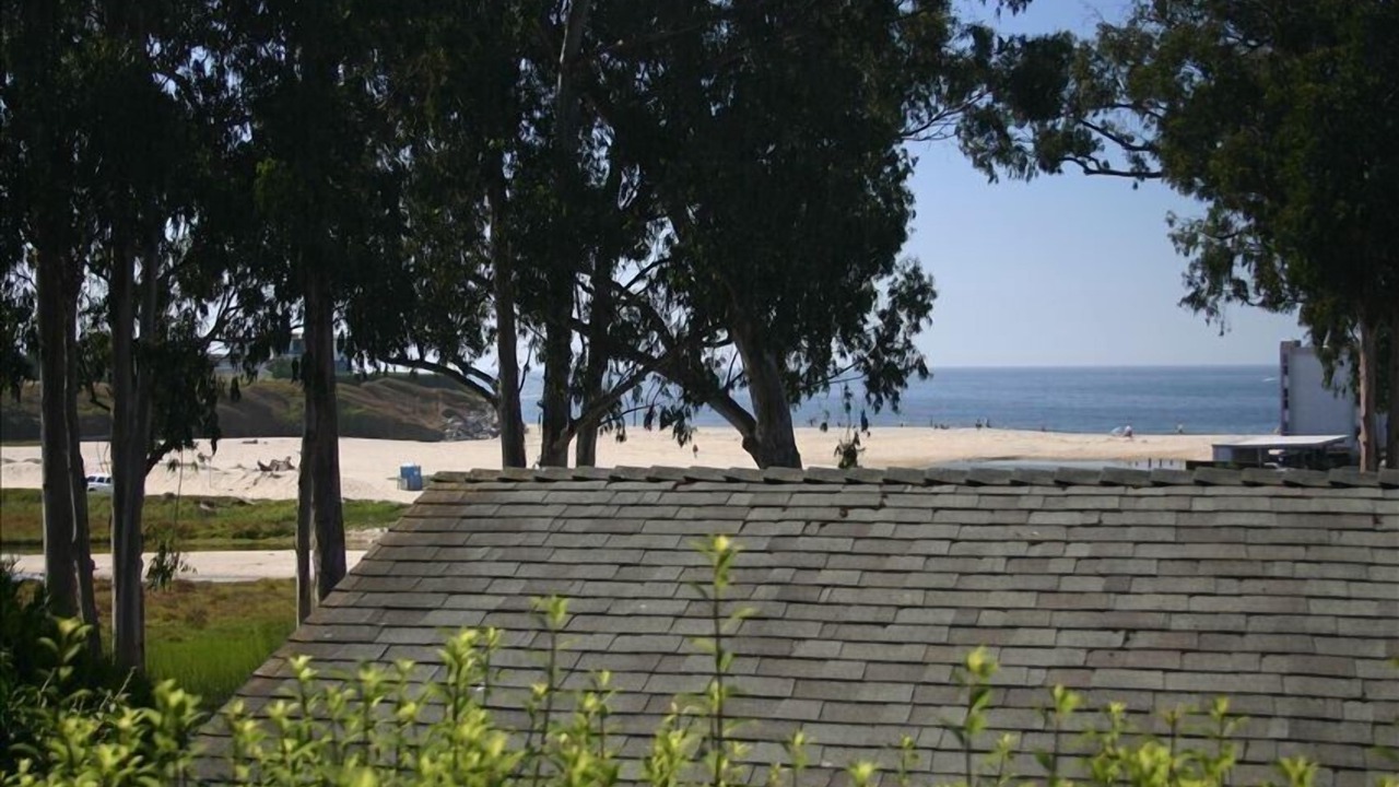 Photo of Others in Eastside Santa Cruz