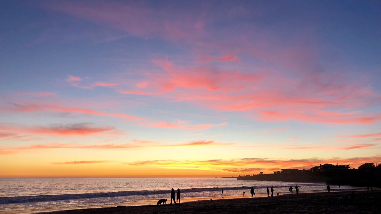 Photo of Others in Eastside Santa Cruz
