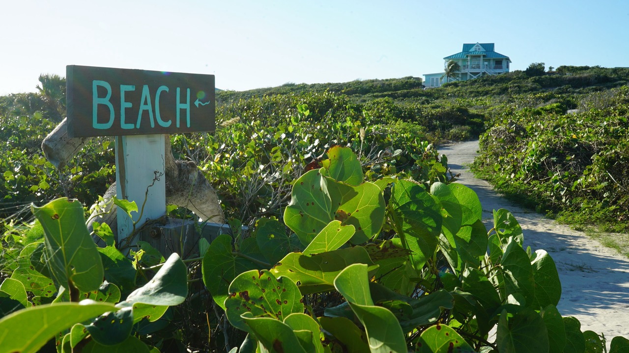 Photo of Others in Conch Bar
