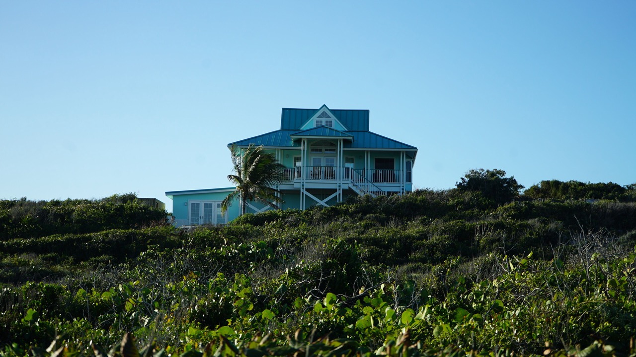 Photo of Others in Conch Bar