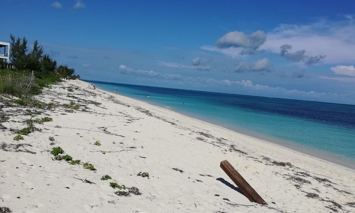 Photo of Others in The Bight