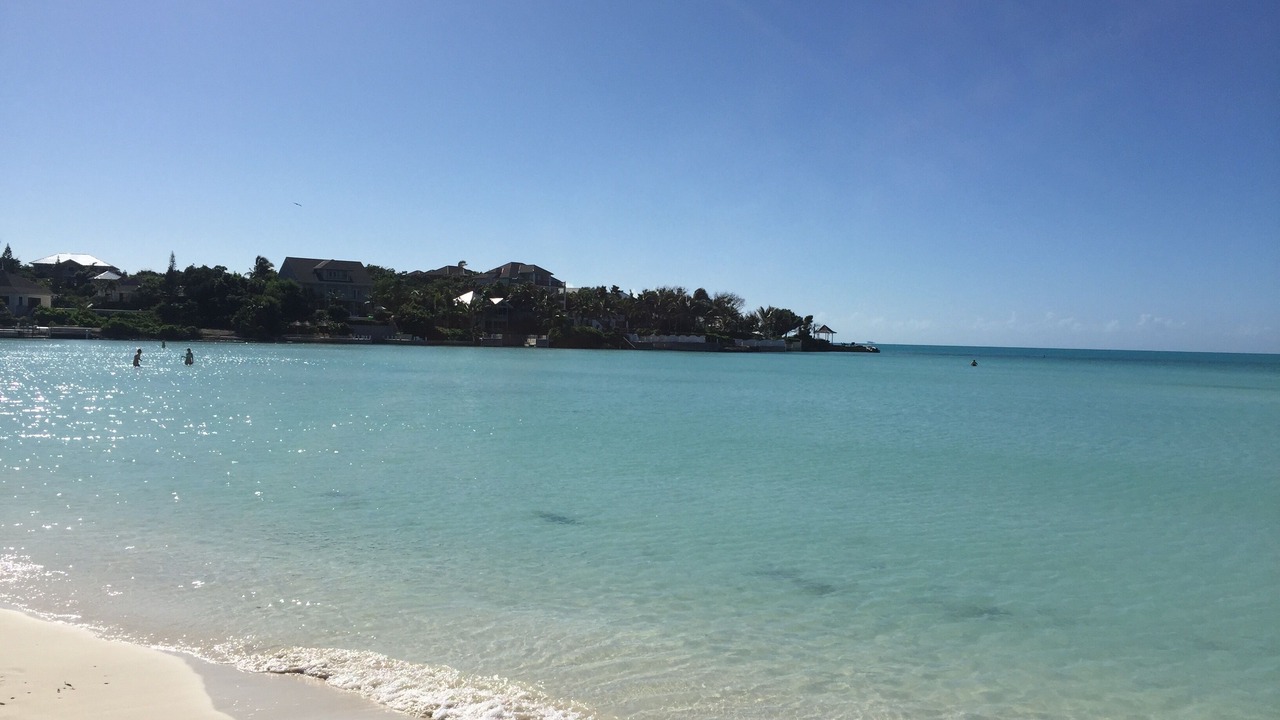 Photo of Others in The Bight