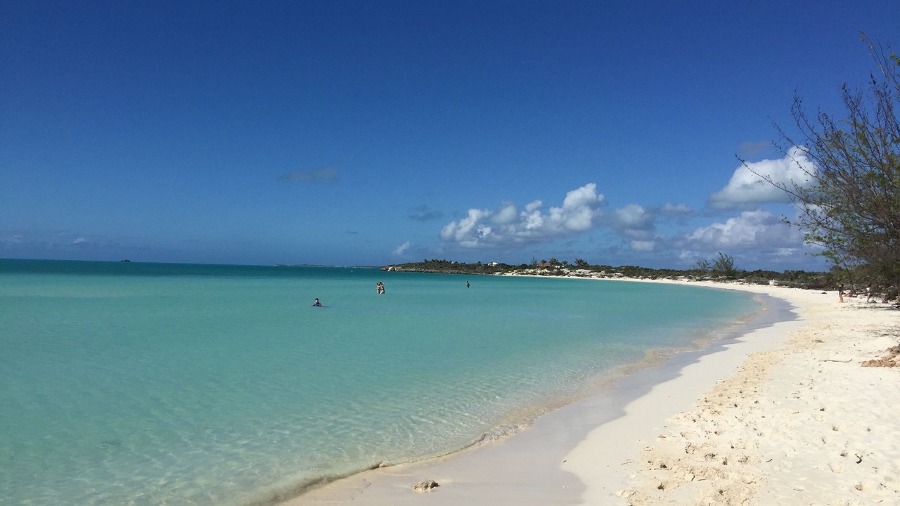 Photo of Others in The Bight