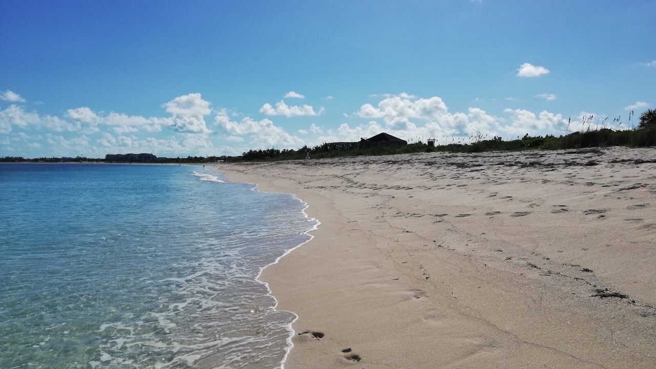 Photo of Others in The Bight