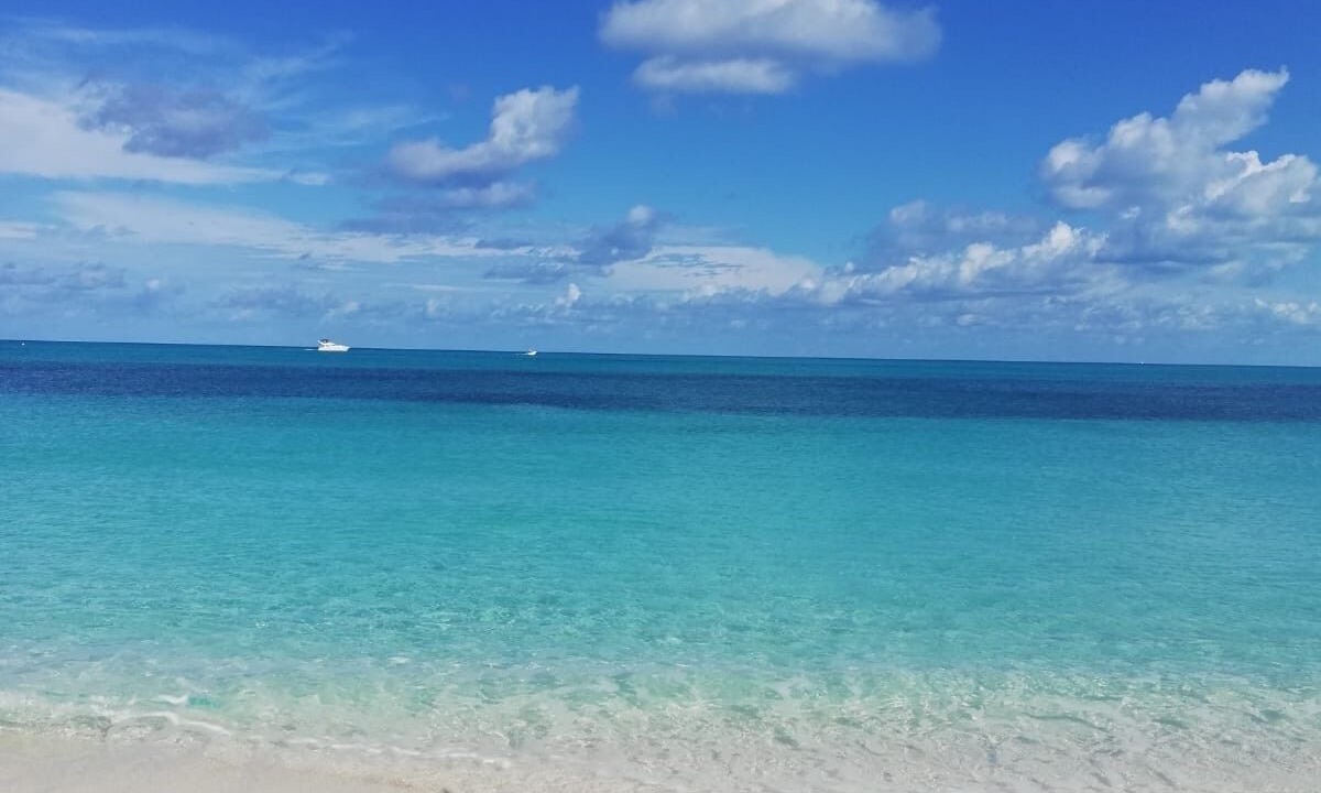 Photo of Others in The Bight