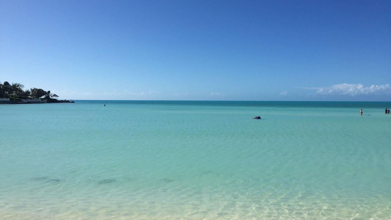 Photo of Others in The Bight