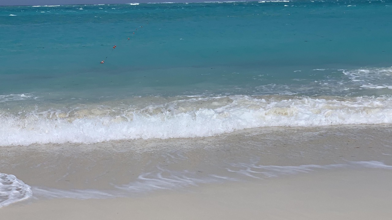 Photo of Others in Grace Bay