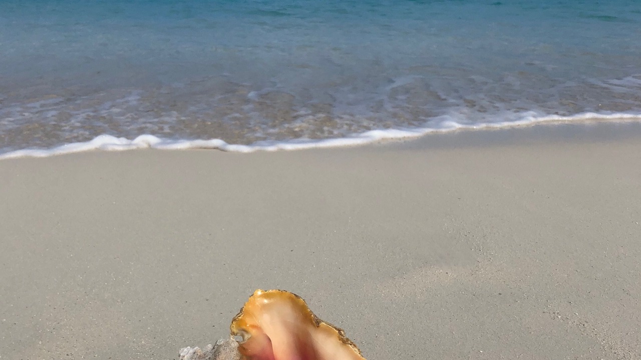 Photo of Others in Grace Bay