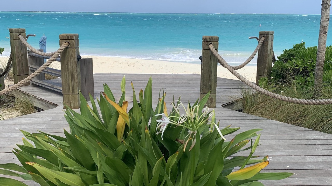 Photo of Others in Grace Bay