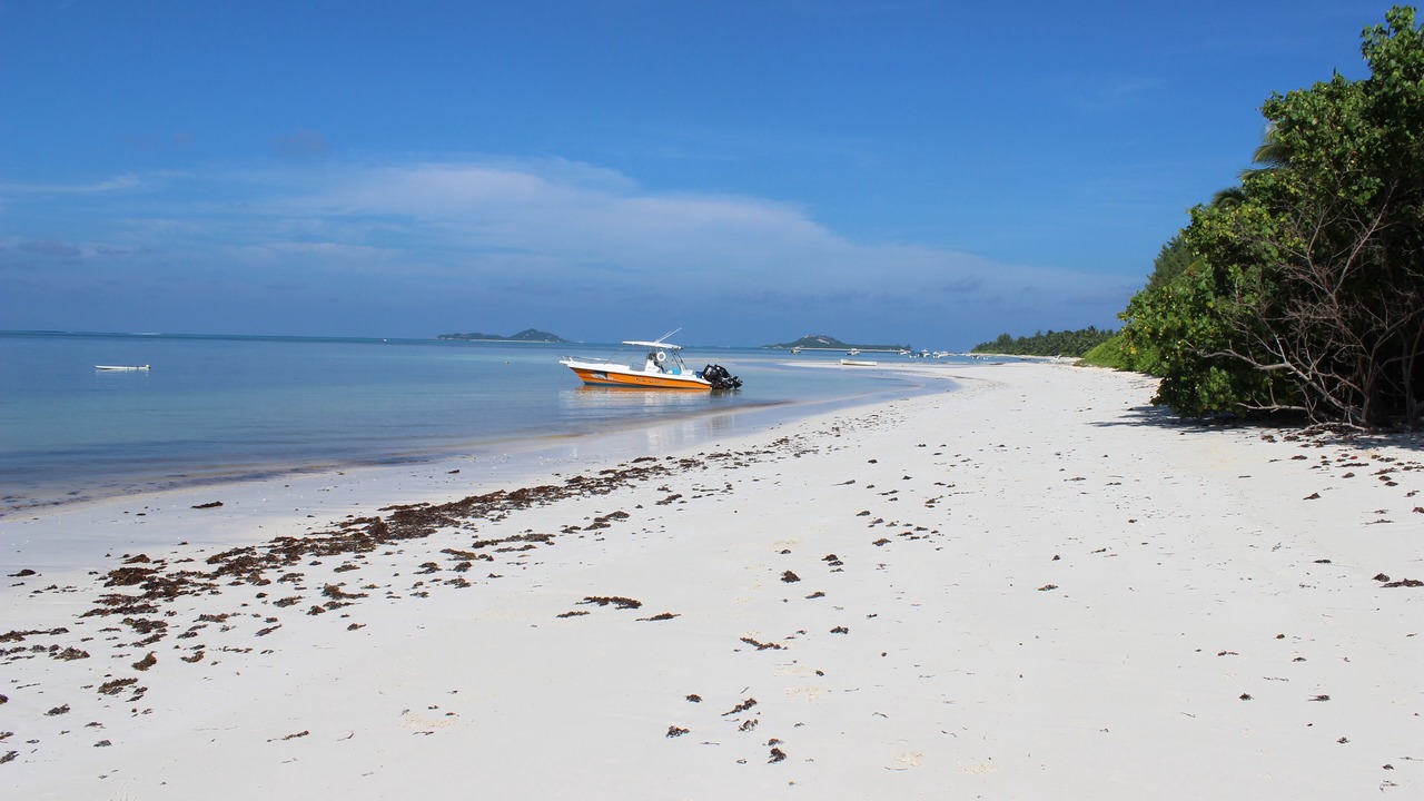 Photo of Others in Grand Anse