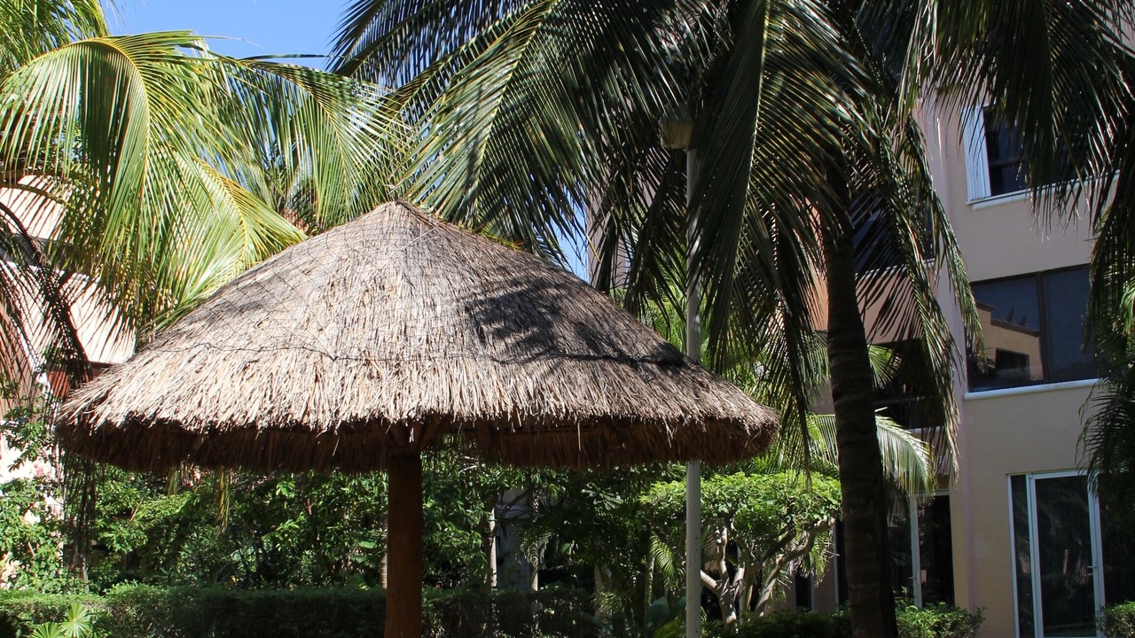 Photo of Outdoor in Zona Hotelera