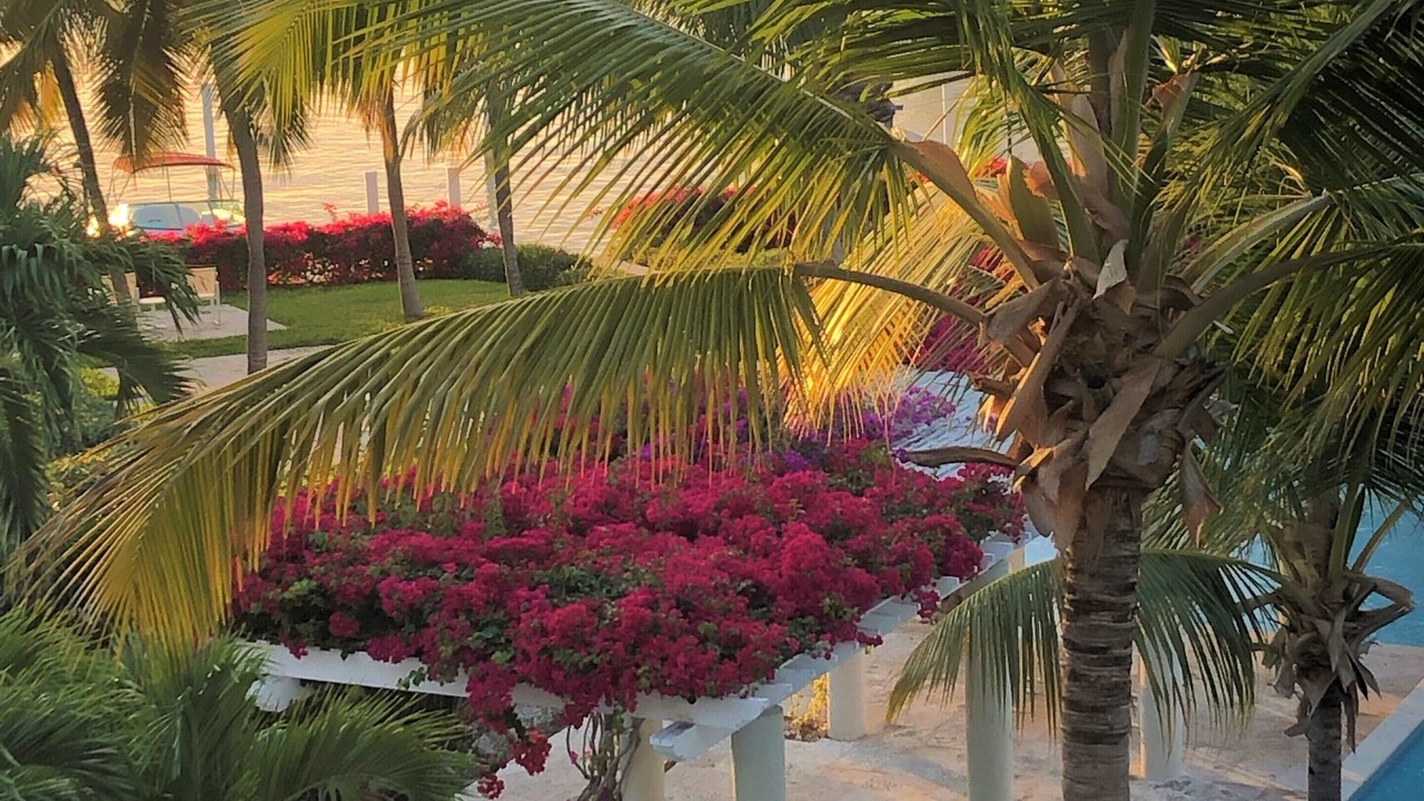 Photo of Outdoor in The Bight