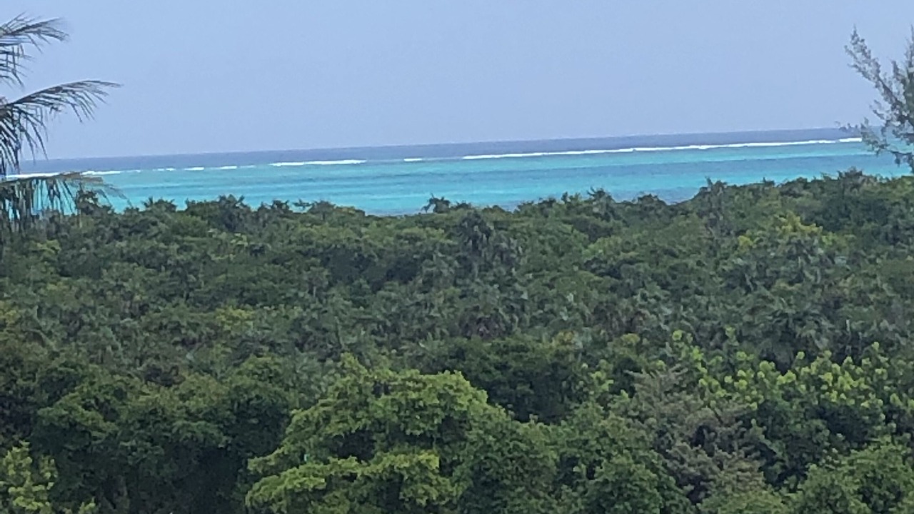Photo of Others in The Bight