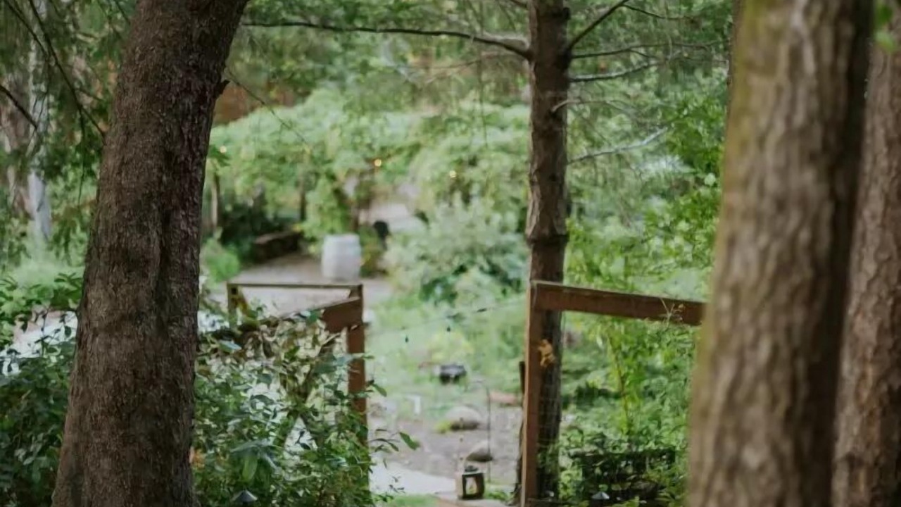 Photo of Outdoor in Ben Lomond
