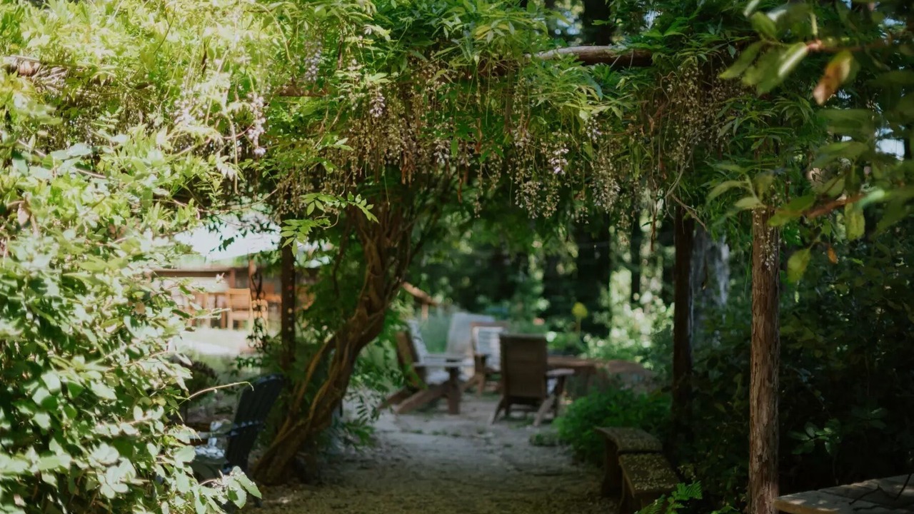 Photo of Outdoor in Ben Lomond