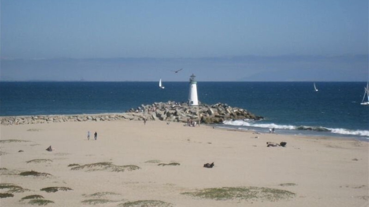 Photo of Others in Seabright