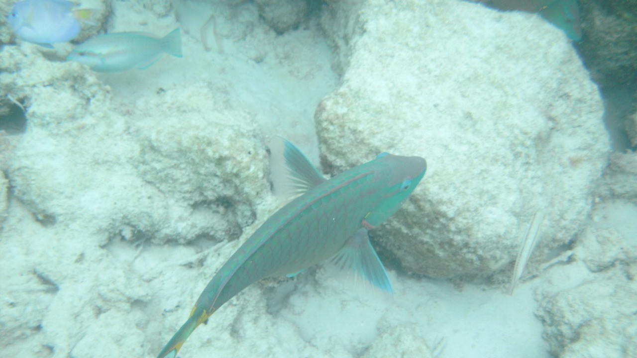 Photo of Outdoor in The Bight