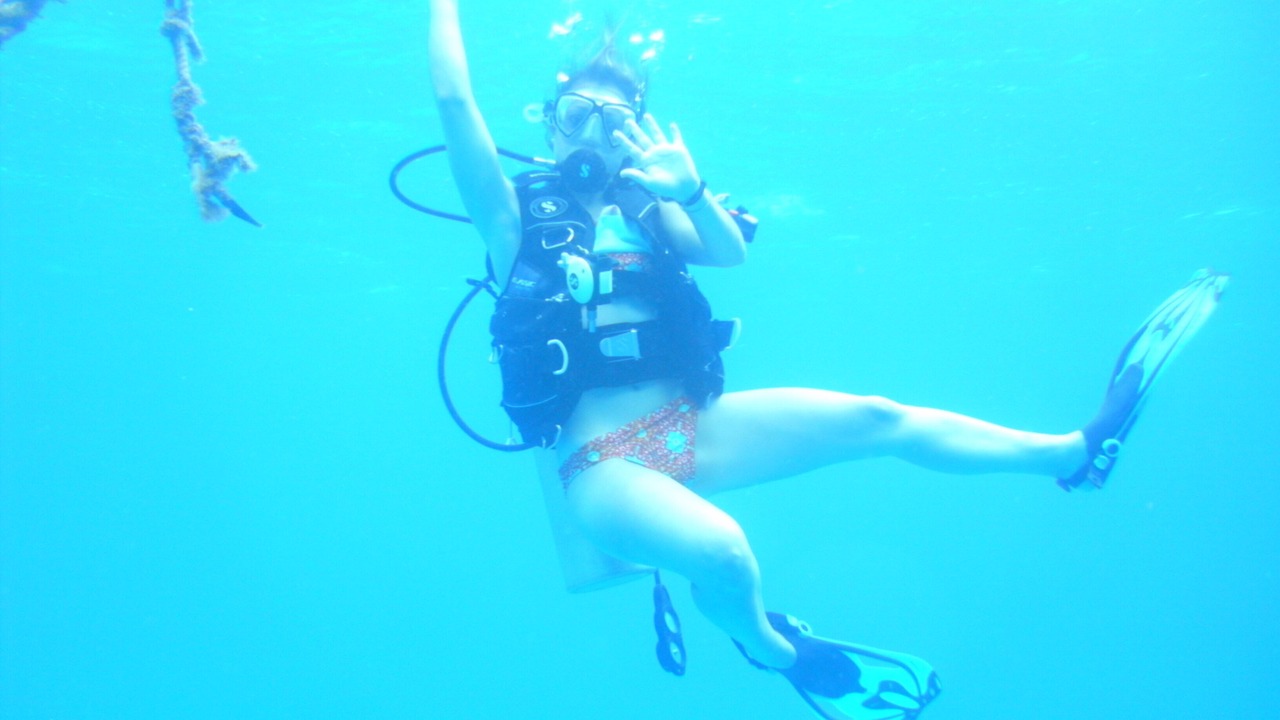 Photo of Others in The Bight
