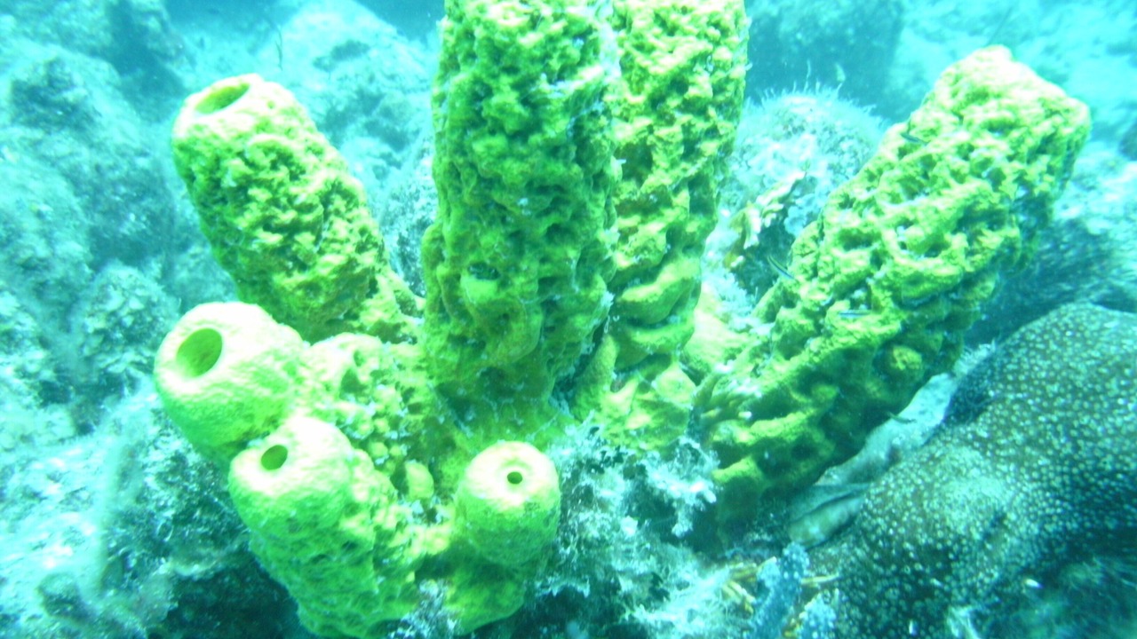 Photo of Outdoor in The Bight