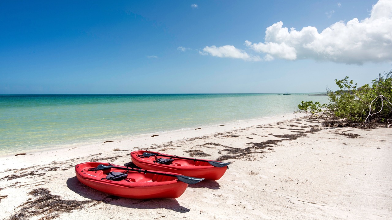 Photo of Others in Isla Holbox