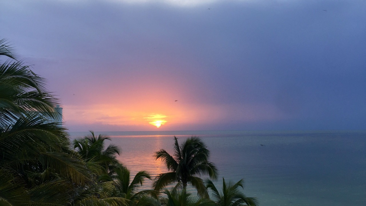 Photo of Others in Isla Holbox