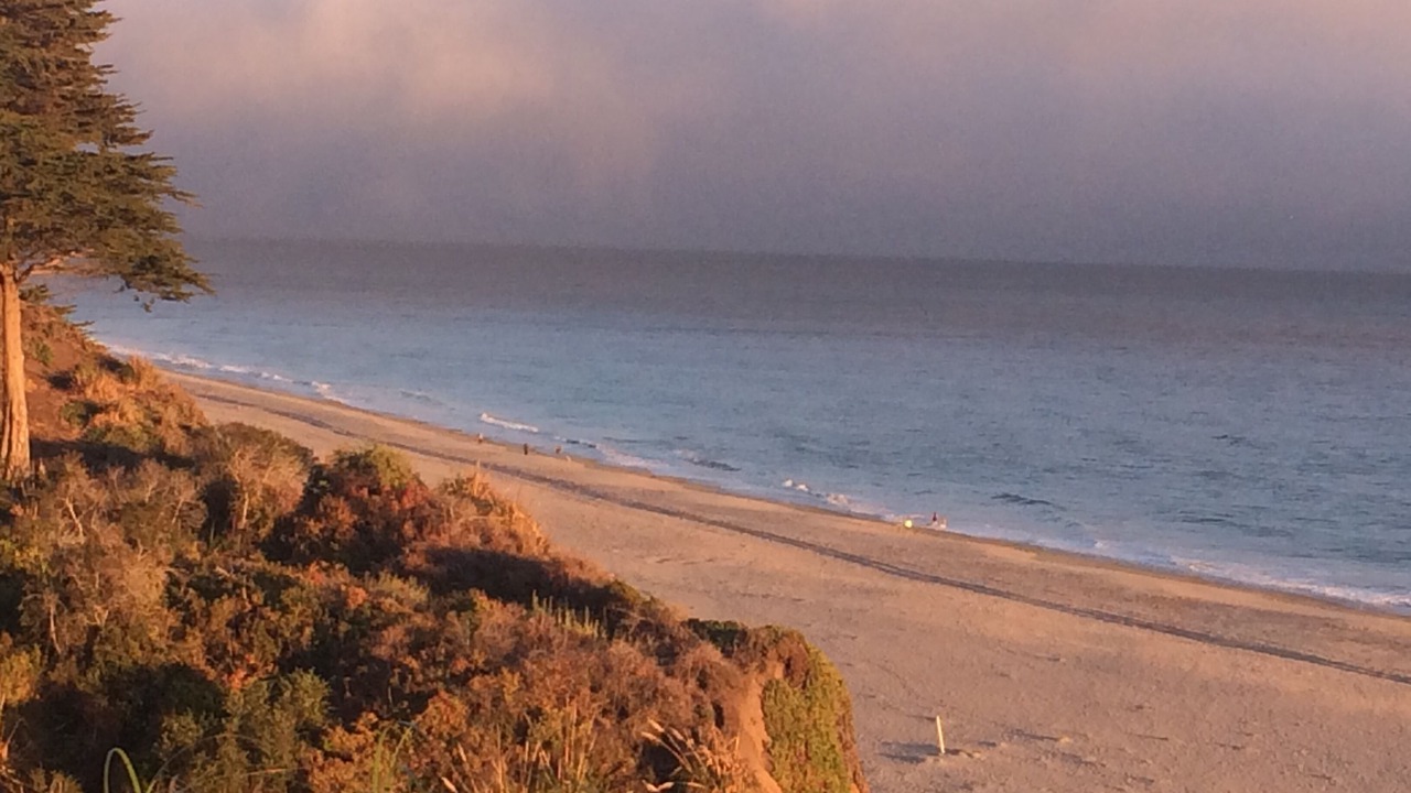 Photo of Others in Rio del Mar