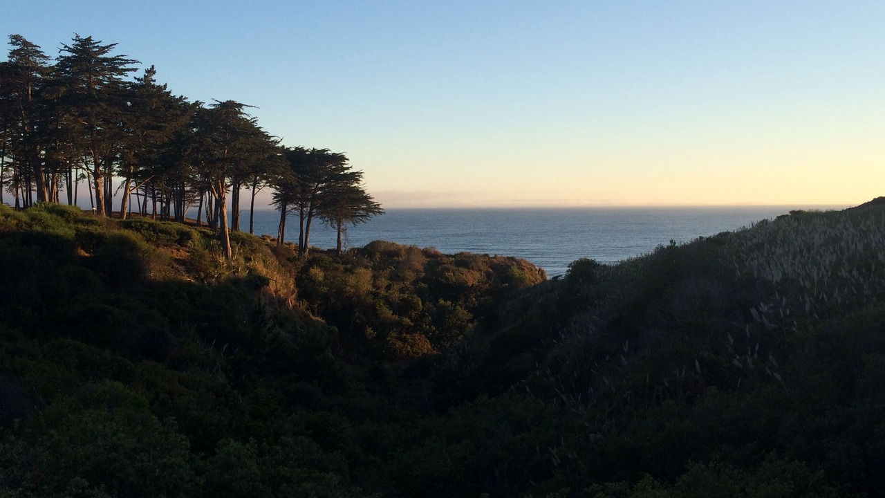 Photo of Others in Rio del Mar
