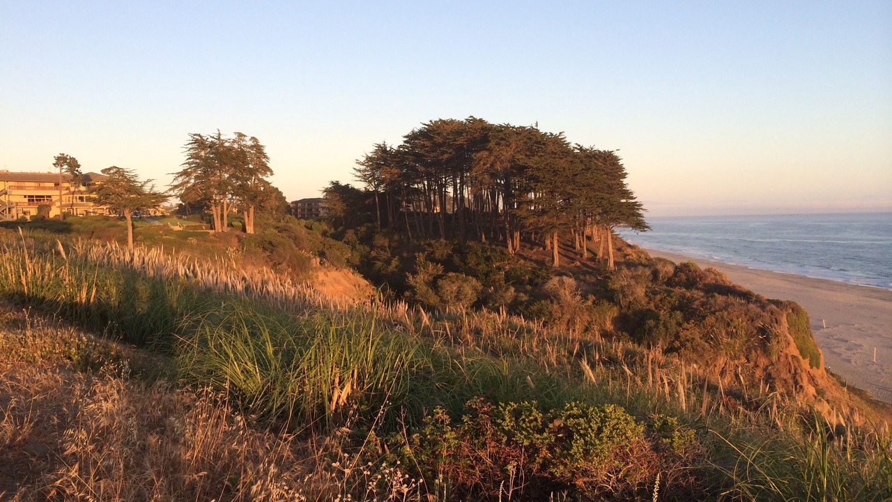 Photo of Others in Rio del Mar