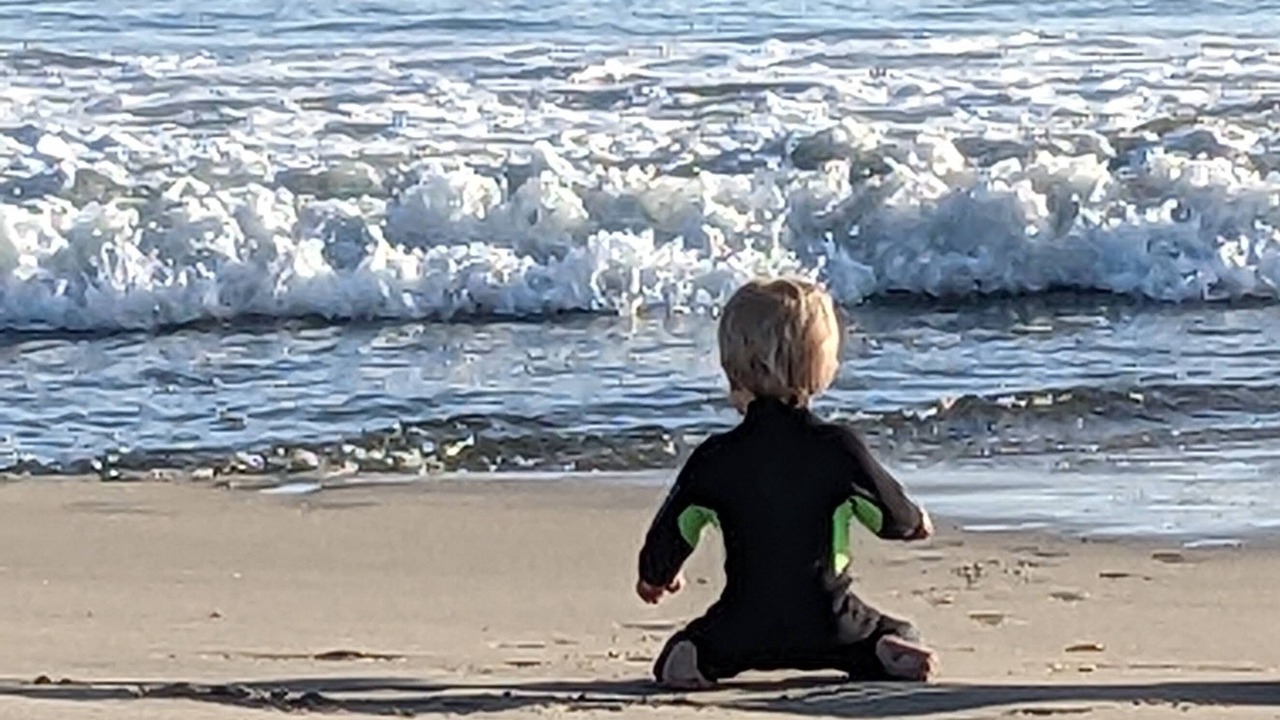 Photo of Others in Eastside Santa Cruz