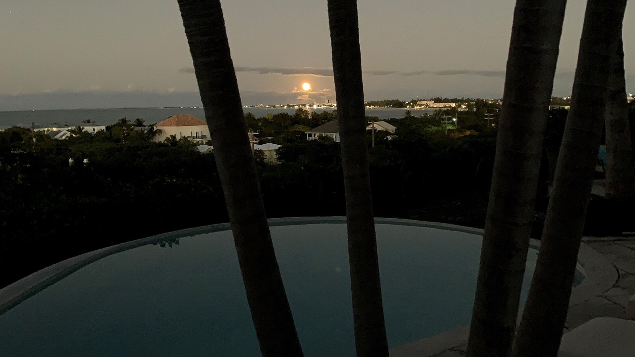 Photo of Others in The Bight