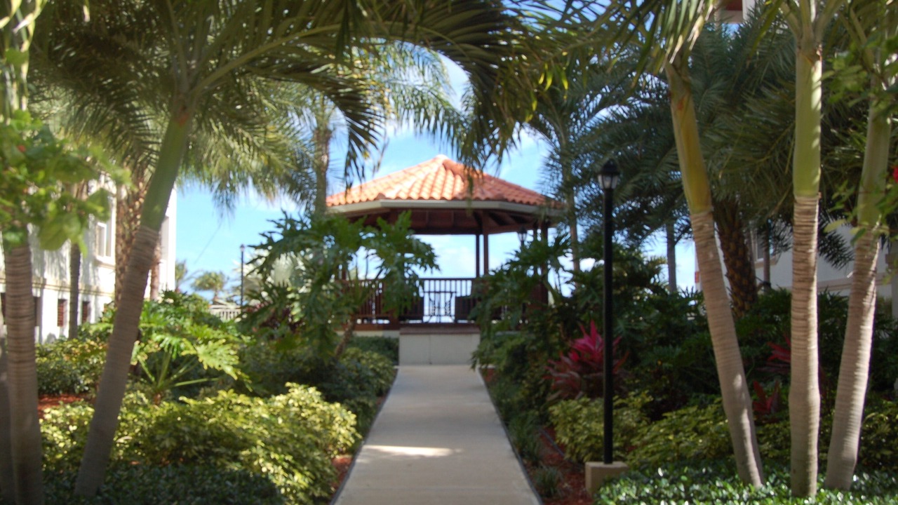 Photo of Outdoor in The Bight