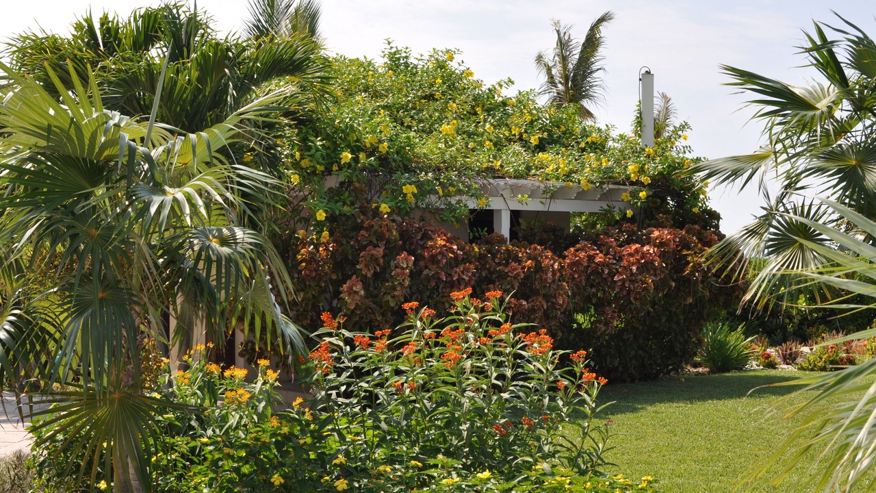 Photo of Others in Grace Bay