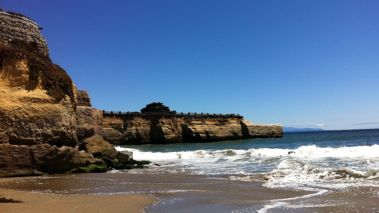 Photo of Others in Eastside Santa Cruz