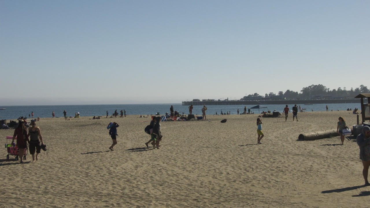 Photo of Others in Seabright