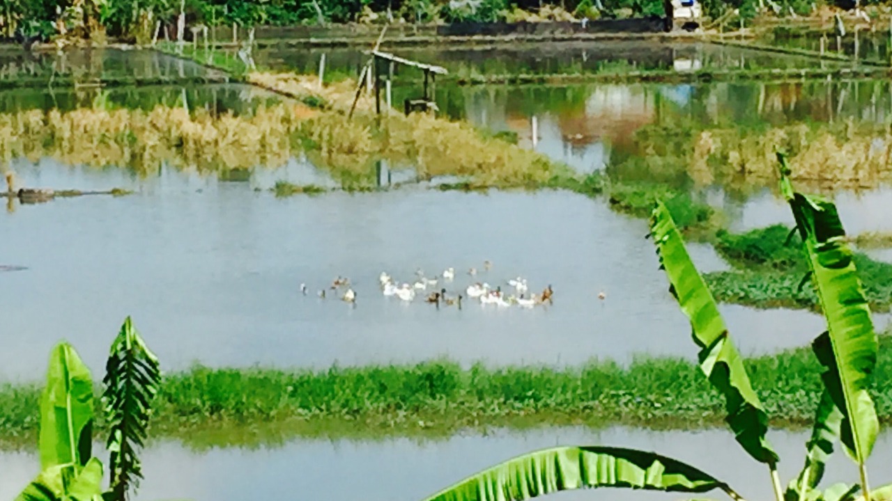 Photo of Outdoor in Sanur Kauh