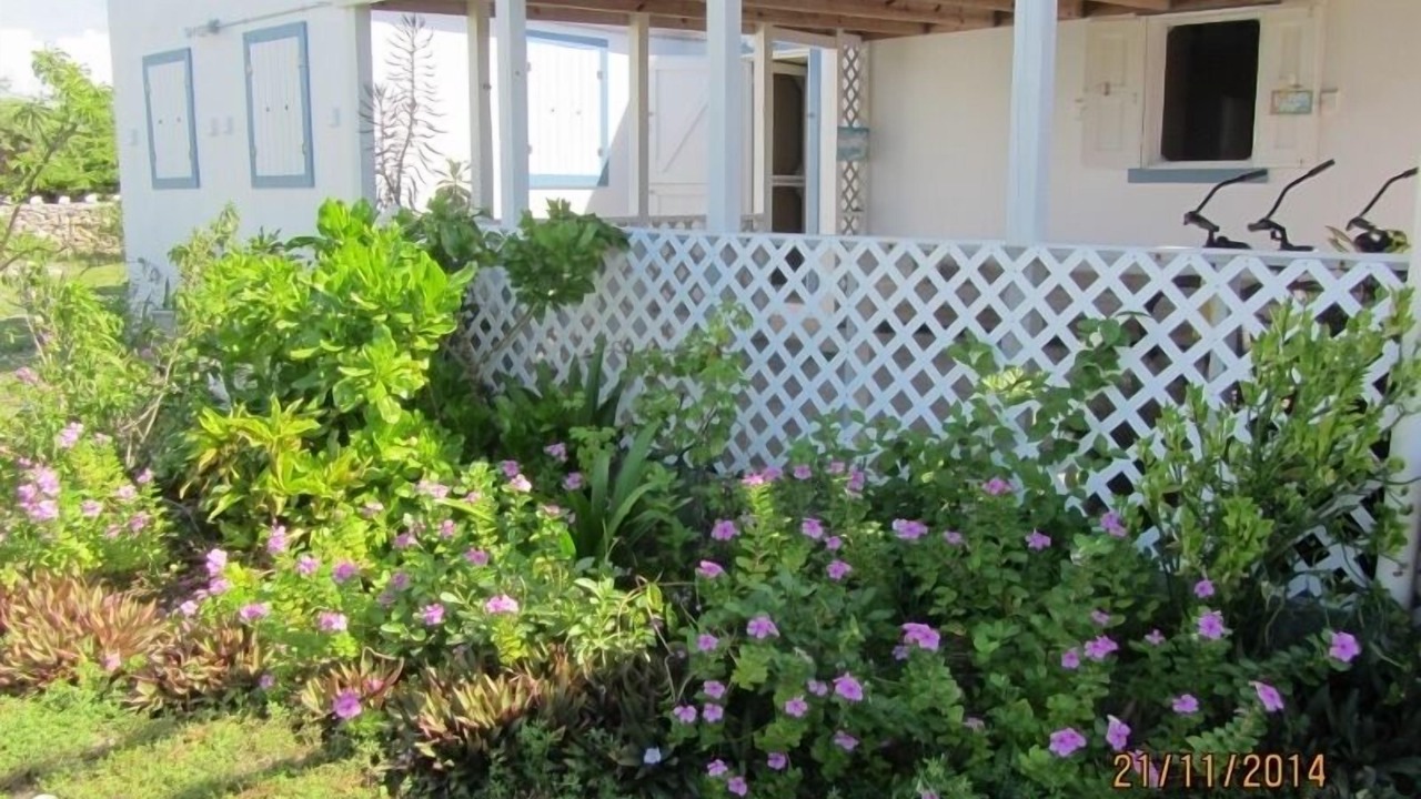 Photo of Outdoor in Balfour Town
